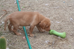 First outing - 8